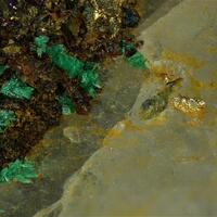 Gold & Malachite