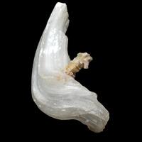 Ramshorn Gypsum