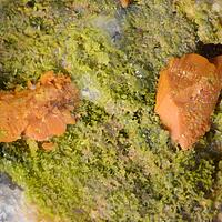 Crocoite & Pyromorphite