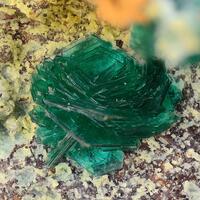 Chalcophyllite