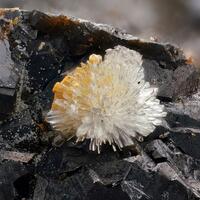 Hemimorphite