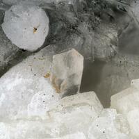 Whewellite