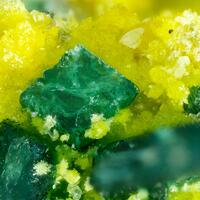 Parsonsite & Torbernite