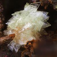 Montgomeryite