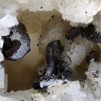 Synchisite