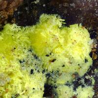 Uranopilite