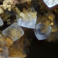 Fluorite