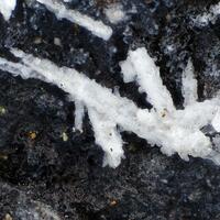 Angastonite