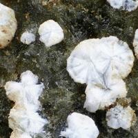 Bakerite