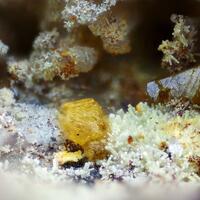 Wulfenite