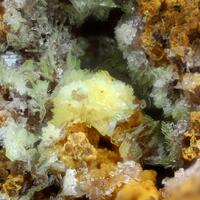 Calcioferrite