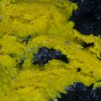 Schoepite & Uranopilite On Uraninite