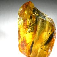 Pyrite In Amber With Inclusions