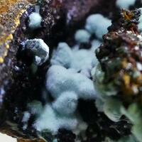 Woodwardite