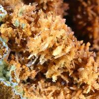 Wavellite & Senegalite