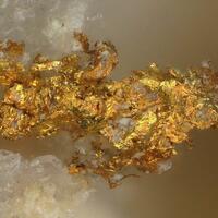 Native Gold & Tetradymite