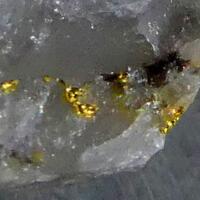 Native Gold On Quartz