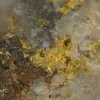 Native Gold On Quartz