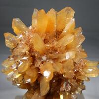 Creedite