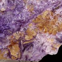 Charoite With Tinaksite Fedorite & Aegirine