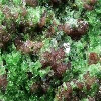 Pyrope In Chrome-Omphacite