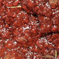 Diadochite With Strunzite & Rockbridgeite