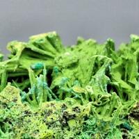 Bayldonite Psm Mimetite