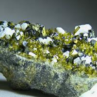 Epidote & Albite & Augite