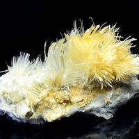 Halotrichite