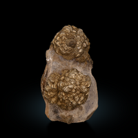 Pyrite