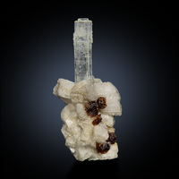 Aquamarine With Garnet On Albite