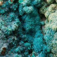 Chrysocolla