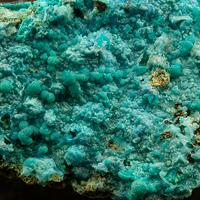 Chrysocolla