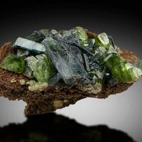 Ludlamite & Vivianite