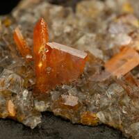 Wulfenite