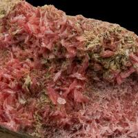 Rhodonite