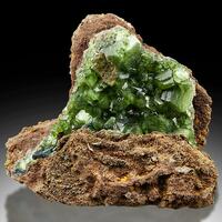 Ludlamite