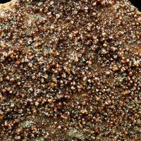 Grossular Var Hessonite On Clinochlore