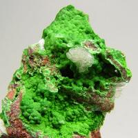 Bayldonite