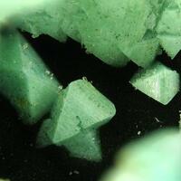 Cuprian Adamite