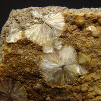 Wavellite