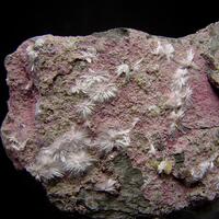 Picropharmacolite