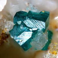 Clinoatacamite