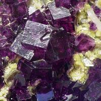 Fluorite On Zinnwaldite