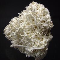 Aragonite Var Flos Ferri