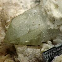 Hydroxylherderite & Tourmaline