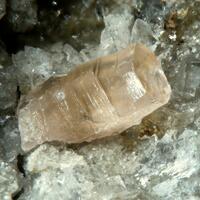 Synchisite