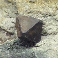 Hauerite