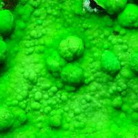 Conichalcite