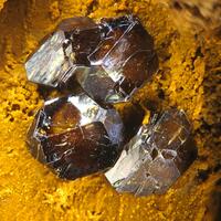 Corkite